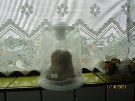 IMG_8291.JPG
