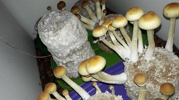 20211016_202952.jpg
