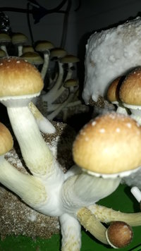 20211016_202856.jpg