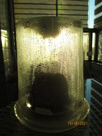 IMG_8310.JPG