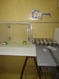 IMG_20211022_193416683.jpg