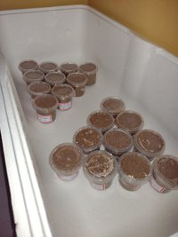 IMG_20211022_204508448.jpg