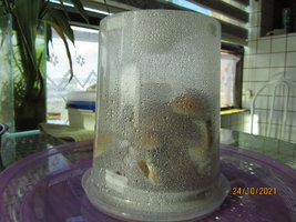 IMG_8324.JPG