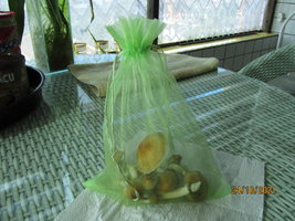 IMG_8328.JPG