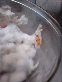 IMG_20211028_173546899.jpg