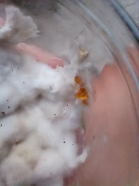 IMG_20211028_173536599.jpg