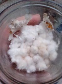 IMG_20211028_173527578.jpg