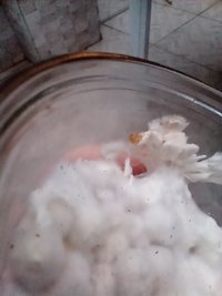 IMG_20211028_173551985.jpg
