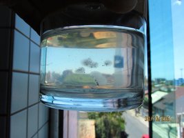 IMG_8339.JPG