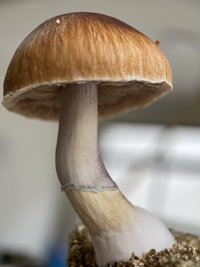44BD5A9F-8267-4222-8B09-EA2FC088F175.jpeg