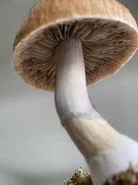 8457D009-9EDF-4597-99E5-E4D105ADCDBF.jpeg