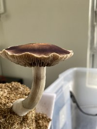 36003E19-0602-4AD2-AB09-8A67360CC539.jpeg