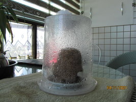 IMG_8353.JPG