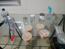 IMG_20211107_222040545.jpg