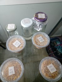 IMG_20211107_224040551.jpg
