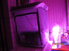 IMG_8374.JPG