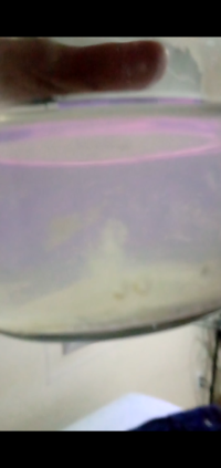 Screenshot_20211111-223506.png