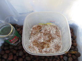 IMG_8376.JPG