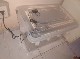 IMG_20211112_031626498.jpg