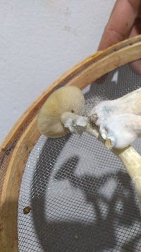 IMG_20211125_185152235.jpg