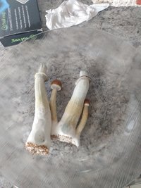 IMG_20211125_083258795.jpg