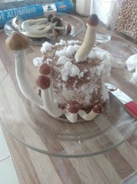 IMG_20211126_082658841.jpg