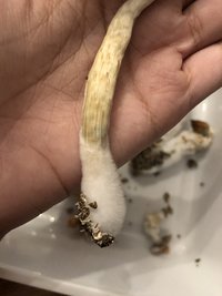 IMG_3598.JPG