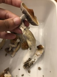 IMG_3601.JPG