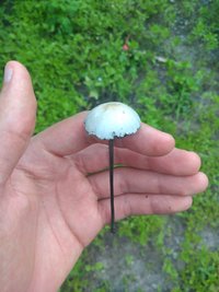 IMG_20211210_174132670.jpg
