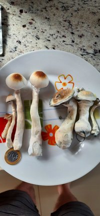 20211214_083832.jpg