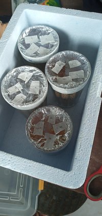 IMG_20211214_113726.jpg