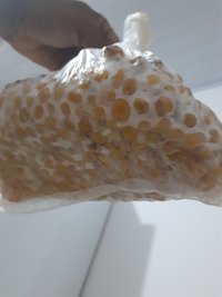 20211215_193912.jpg