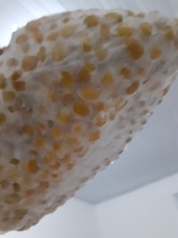 20211215_193859.jpg