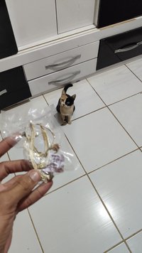 IMG_20211222_182717.jpg
