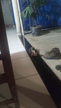 IMG_20211222_212347.jpg