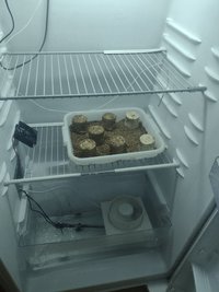 IMG_20211226_014656563.jpg