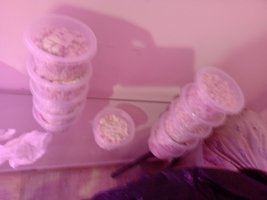 IMG_20220103_124533427.jpg