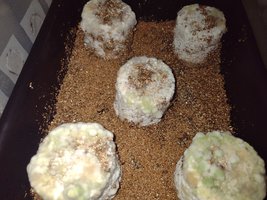 IMG_20220108_232141484.jpg