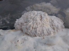 IMG_20220117_184434004.jpg