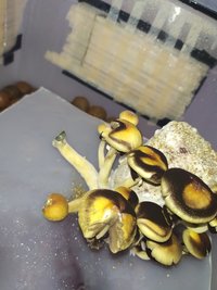 IMG_20220121_161957.jpg