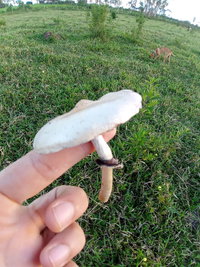 20220123_182223.jpg