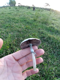 20220123_182318.jpg
