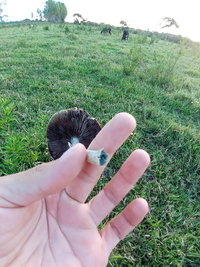 20220123_182323.jpg
