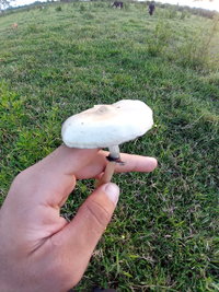 20220123_182350.jpg