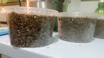 20220123_185602.jpg