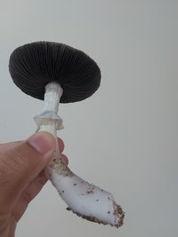 20211007_122622.jpg
