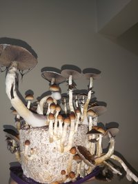 20220203_214340.jpg