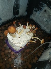 20220202_121740.jpg