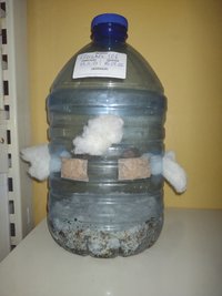 IMG_20220204_172551098.jpg
