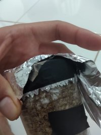dia 05 2.jpeg
